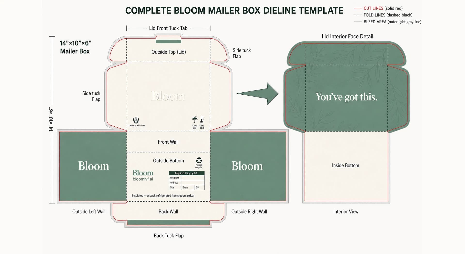 Dieline · structural diagram & cold-chain spec